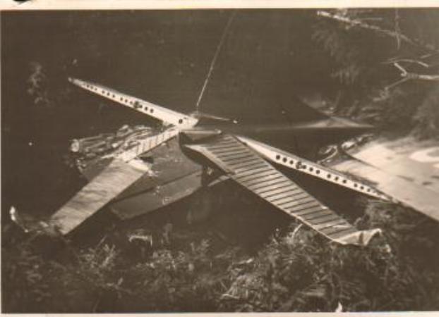 Images/Crash site 2.jpg